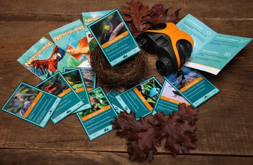 Nestquest Bird Cards Foil