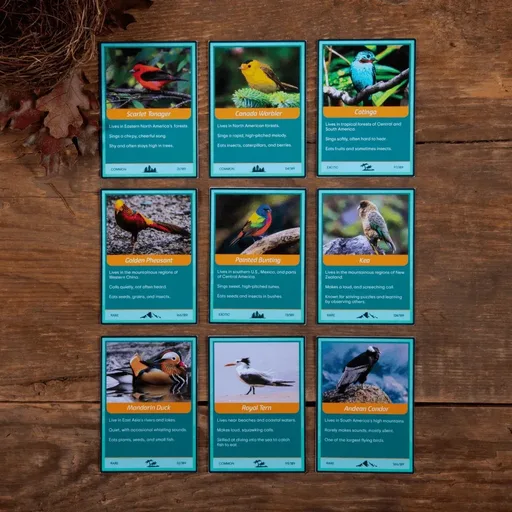 Nestquest Bird Cards Wood