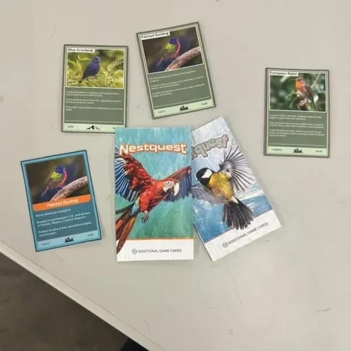 Nestquest Cards Workbench