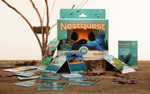 Nestquest Full Box