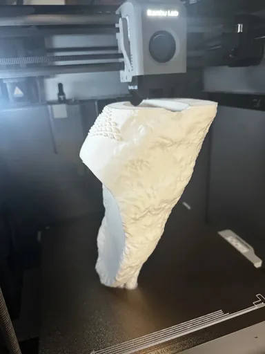 Ravisauce 3D Print BambuLab