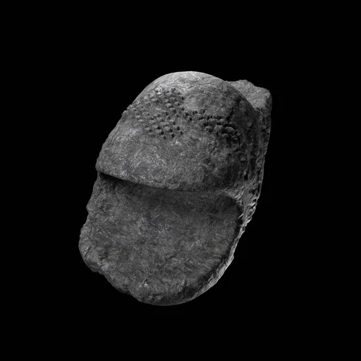 Ravisauce Stone Face Render